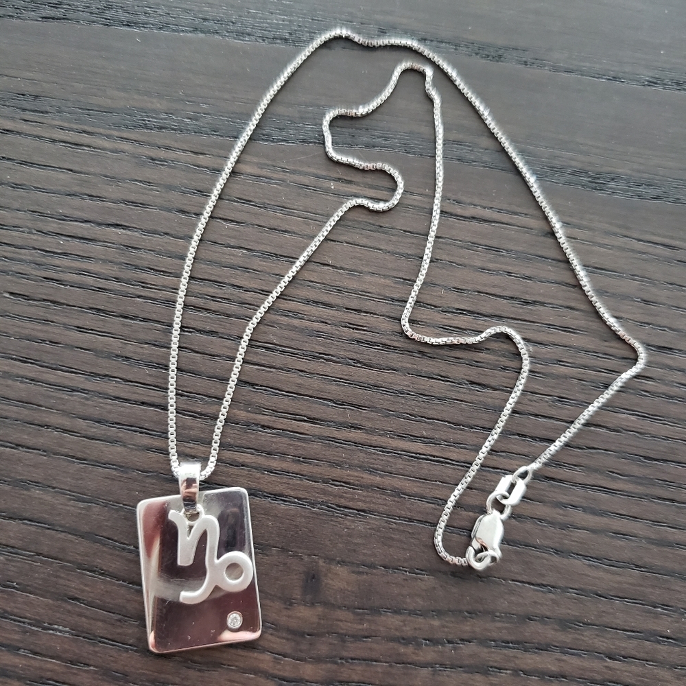 Sterling Silver Capricorn Astrology Necklace
